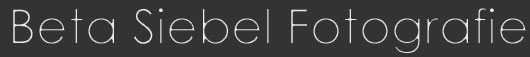 beta siebel